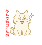 なんで知ってんのか驚く猫（個別スタンプ：13）