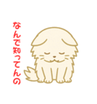 なんで知ってんのか驚く猫（個別スタンプ：15）