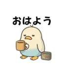 インコなんです⭐︎毎日使える日常編（個別スタンプ：5）