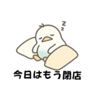 インコなんです⭐︎毎日使える日常編（個別スタンプ：8）