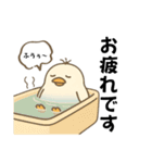 インコなんです⭐︎毎日使える日常編（個別スタンプ：11）