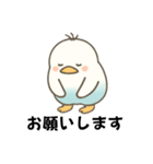 インコなんです⭐︎毎日使える日常編（個別スタンプ：15）