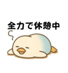 インコなんです⭐︎毎日使える日常編（個別スタンプ：19）