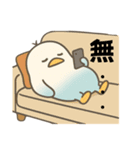 インコなんです⭐︎毎日使える日常編（個別スタンプ：20）
