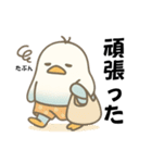 インコなんです⭐︎毎日使える日常編（個別スタンプ：23）
