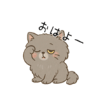 ペルシャ猫のくせつよスタンプ（個別スタンプ：1）