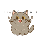 ペルシャ猫のくせつよスタンプ（個別スタンプ：4）