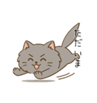 ペルシャ猫のくせつよスタンプ（個別スタンプ：5）