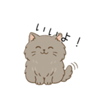 ペルシャ猫のくせつよスタンプ（個別スタンプ：13）