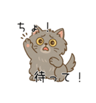 ペルシャ猫のくせつよスタンプ（個別スタンプ：16）