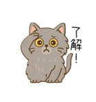 ペルシャ猫のくせつよスタンプ（個別スタンプ：19）
