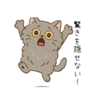 ペルシャ猫のくせつよスタンプ（個別スタンプ：20）