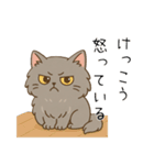 ペルシャ猫のくせつよスタンプ（個別スタンプ：24）