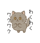 ペルシャ猫のくせつよスタンプ（個別スタンプ：26）