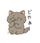 ペルシャ猫のくせつよスタンプ（個別スタンプ：29）
