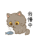ペルシャ猫のくせつよスタンプ（個別スタンプ：31）