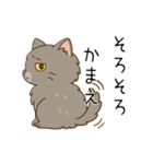 ペルシャ猫のくせつよスタンプ（個別スタンプ：36）