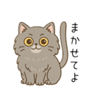 ペルシャ猫のくせつよスタンプ（個別スタンプ：37）