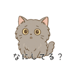 ペルシャ猫のくせつよスタンプ（個別スタンプ：38）