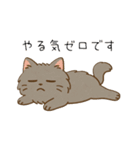 ペルシャ猫のくせつよスタンプ（個別スタンプ：40）