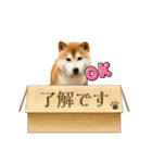 ぽーちゃんのスタンプ・アラカルト♫（個別スタンプ：3）