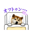 ぽーちゃんのスタンプ・アラカルト♫（個別スタンプ：9）
