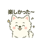 ハクの部屋／日常使えるスタンプ2（個別スタンプ：11）