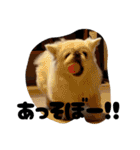 つかいやすいゴンザレス（個別スタンプ：36）