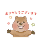 クオッカときどきコアラ（個別スタンプ：1）