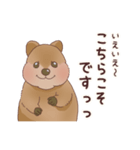 クオッカときどきコアラ（個別スタンプ：3）