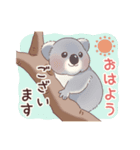 クオッカときどきコアラ（個別スタンプ：5）