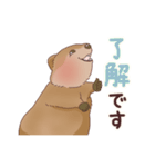 クオッカときどきコアラ（個別スタンプ：9）