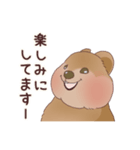 クオッカときどきコアラ（個別スタンプ：11）