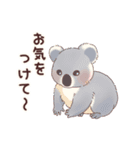 クオッカときどきコアラ（個別スタンプ：16）