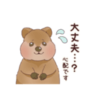 クオッカときどきコアラ（個別スタンプ：17）