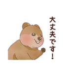クオッカときどきコアラ（個別スタンプ：18）