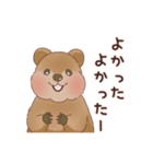クオッカときどきコアラ（個別スタンプ：19）