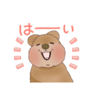 クオッカときどきコアラ（個別スタンプ：20）