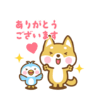飛び出す！ 柴犬さんたちのシンプルスタンプ（個別スタンプ：4）
