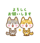 飛び出す！ 柴犬さんたちのシンプルスタンプ（個別スタンプ：6）