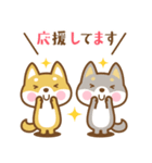 飛び出す！ 柴犬さんたちのシンプルスタンプ（個別スタンプ：13）