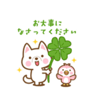 飛び出す！ 柴犬さんたちのシンプルスタンプ（個別スタンプ：16）