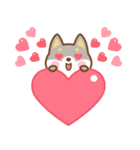 飛び出す！ 柴犬さんたちのシンプルスタンプ（個別スタンプ：17）