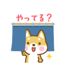 飛び出す！ 柴犬さんたちのシンプルスタンプ（個別スタンプ：22）