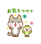 飛び出す！ 柴犬さんたちのシンプルスタンプ（個別スタンプ：23）