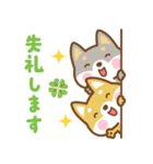 飛び出す！ 柴犬さんたちのシンプルスタンプ（個別スタンプ：24）