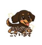 トリマーさん向けスタンプ(丁寧語)（個別スタンプ：2）