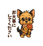 トリマーさん向けスタンプ(丁寧語)（個別スタンプ：24）