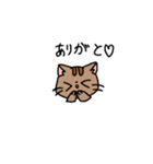 3匹の猫スタンプ❤️（個別スタンプ：11）