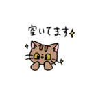 3匹の猫スタンプ❤️（個別スタンプ：16）